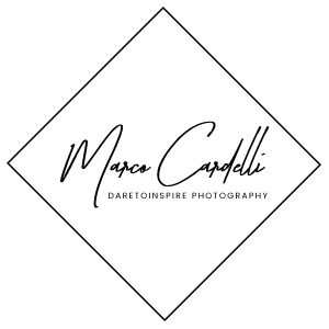 thementor logo